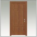 Πόρτα Ασφαλείας Θωρακισμένη Παντογράφου 101091